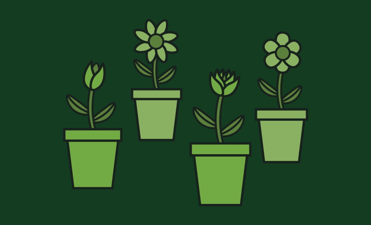 Common Types of Investment - Investing - Your Financial Journey